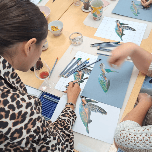 Atelier - Dessin animalier Papillon de nuit