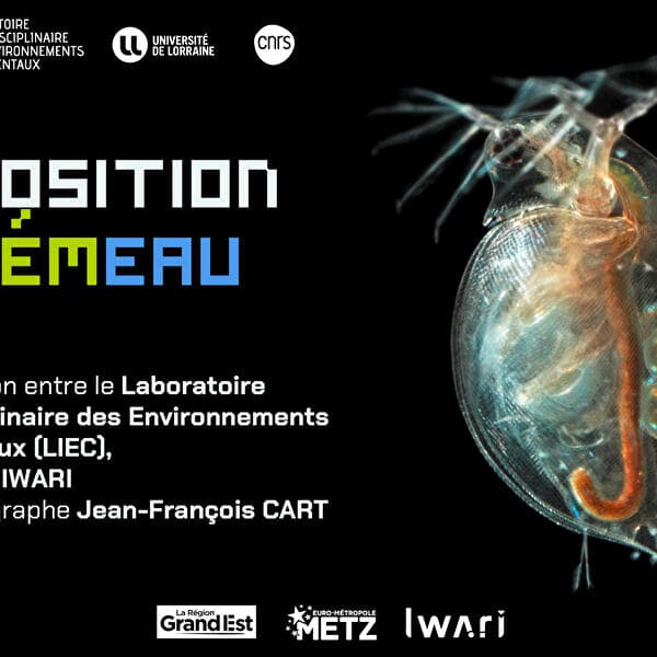 Exposition PokémEAU