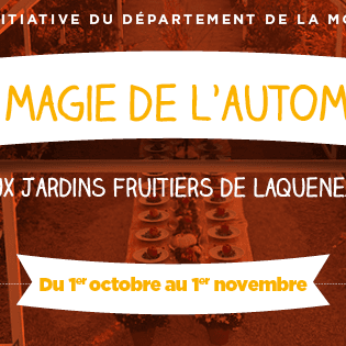 La magie de l'automne