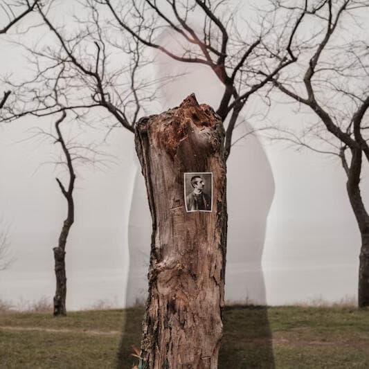 The Future of Photography’s Past