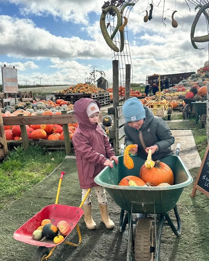 Cueillette de Peltre : pommes, citrouilles et légumes de saison - 2