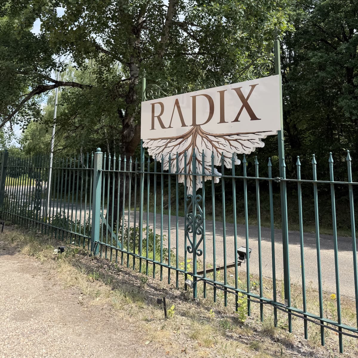 Radix : cuisine gastronomique et terrasse au cœur de la nature - 8