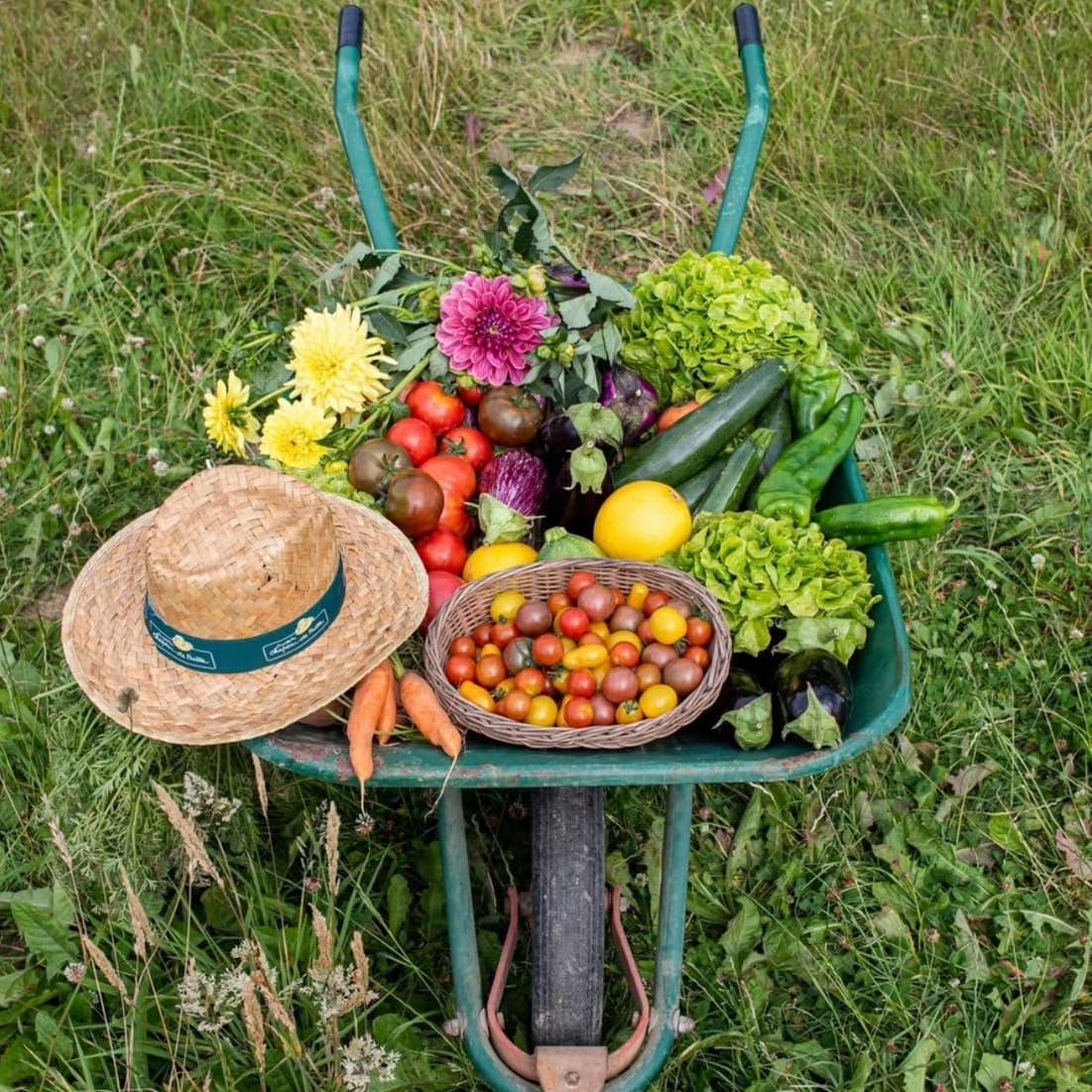 Cueillette de Peltre : pommes, citrouilles et légumes de saison - 1