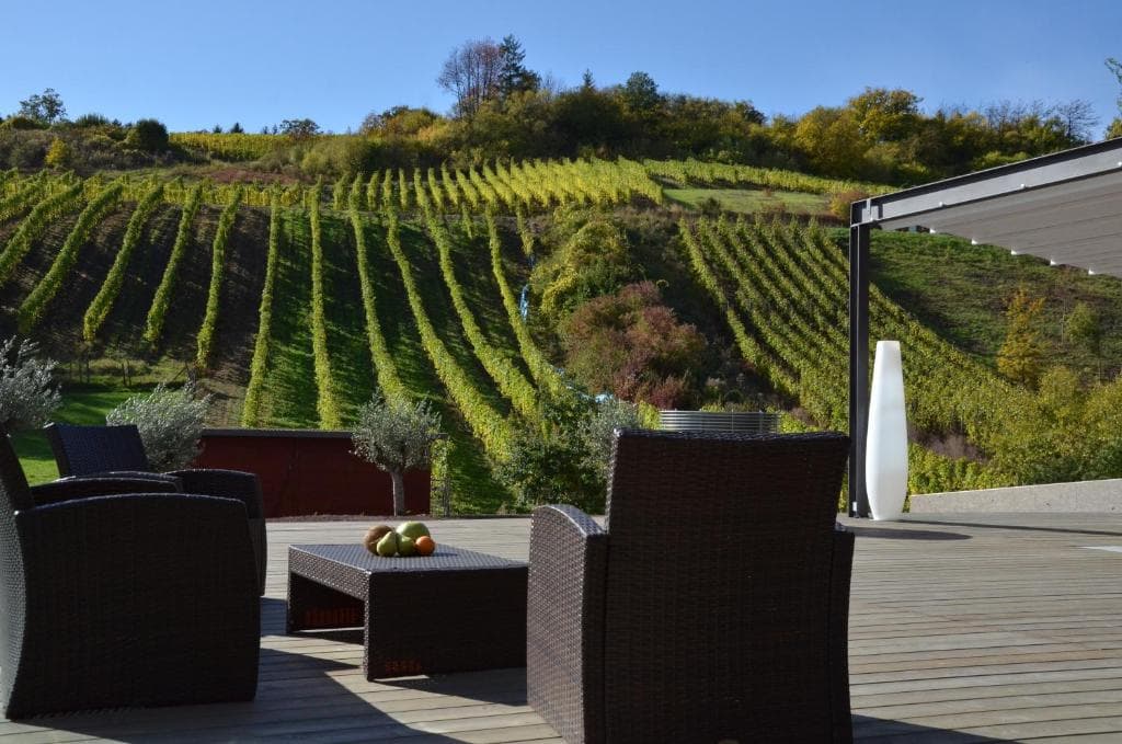 Hôtel-Restaurant de l'Écluse : vue sur les vignes et la Moselle - 2