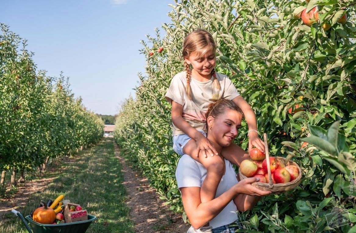 Cueillette de Peltre : pommes, citrouilles et légumes de saison - 8