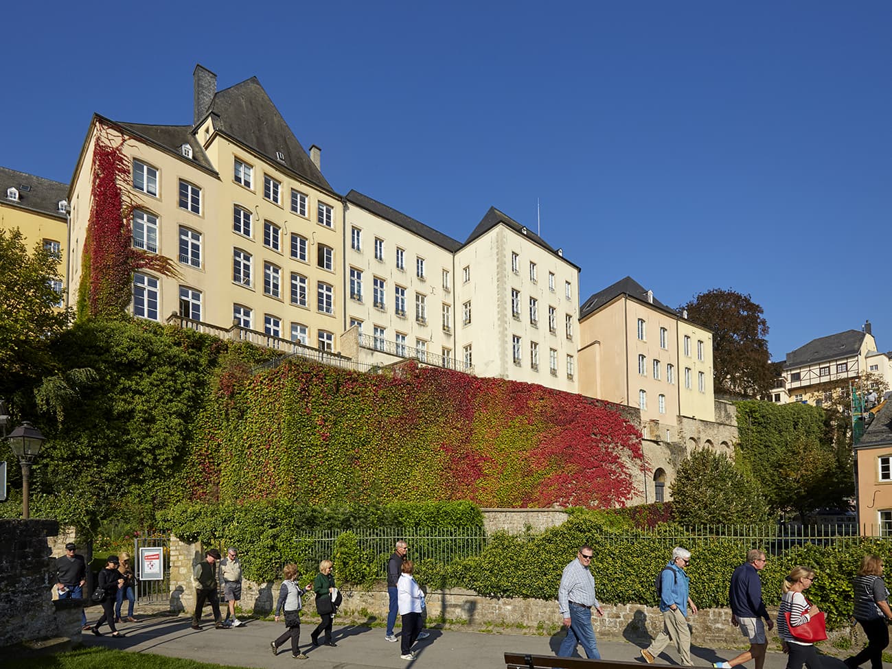 Un musée, cinq espaces, mille découvertes - 2