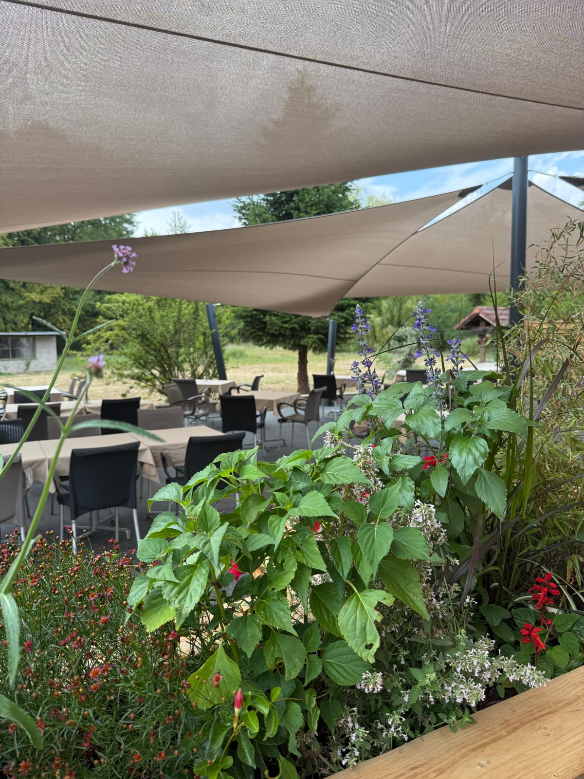 Radix: gourmet cuisine and terrace in the heart of nature - 5