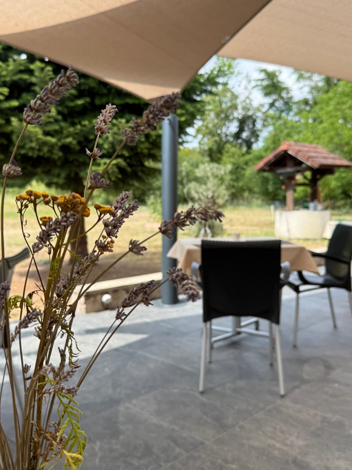 Radix: gourmet cuisine and terrace in the heart of nature - 3