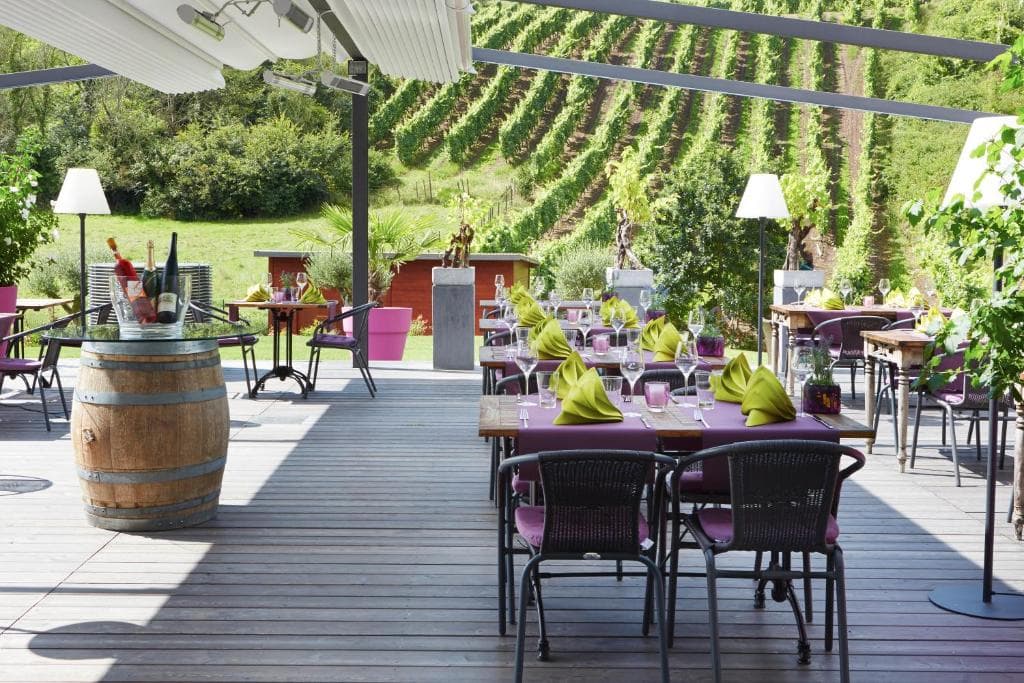 Hôtel-Restaurant de l'Écluse : vue sur les vignes et la Moselle - 3