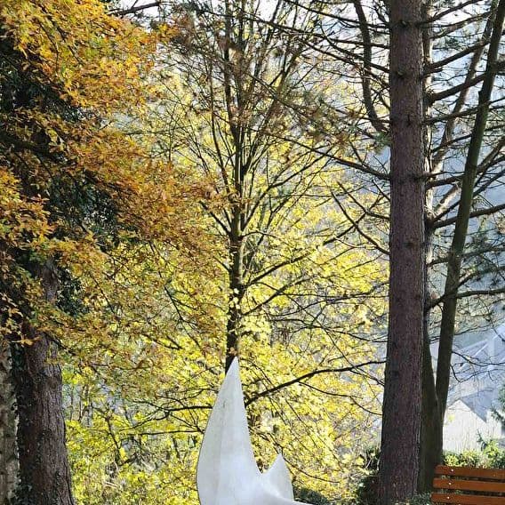 Parc des sculptures et Sentier des Roses