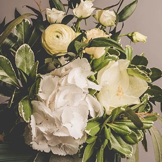 The finest of flowers