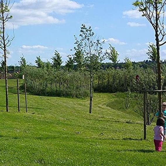 Green paradise