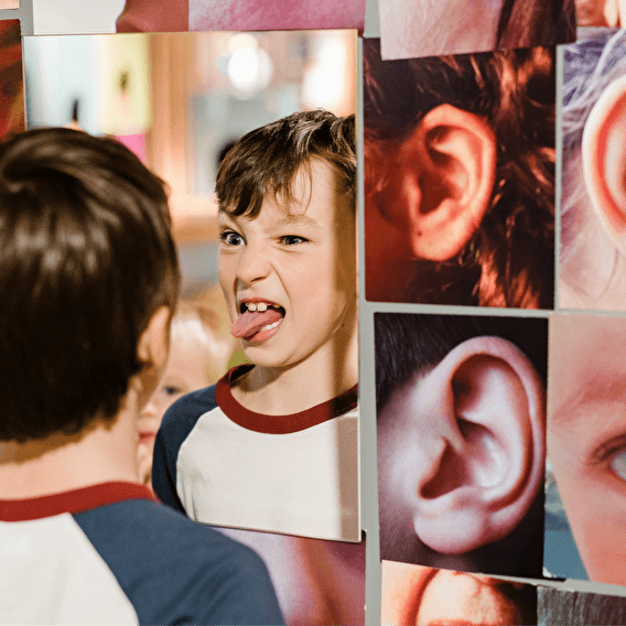 5 senses, 1000 discoveries