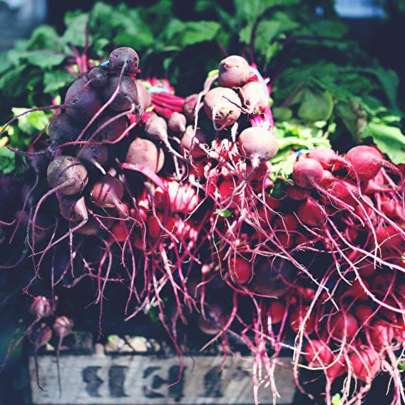 Let's go organic!