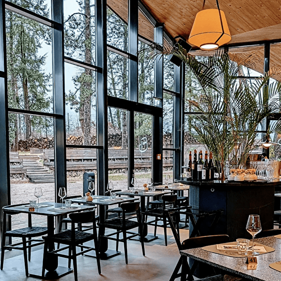 The Brewery on the edge of the forest