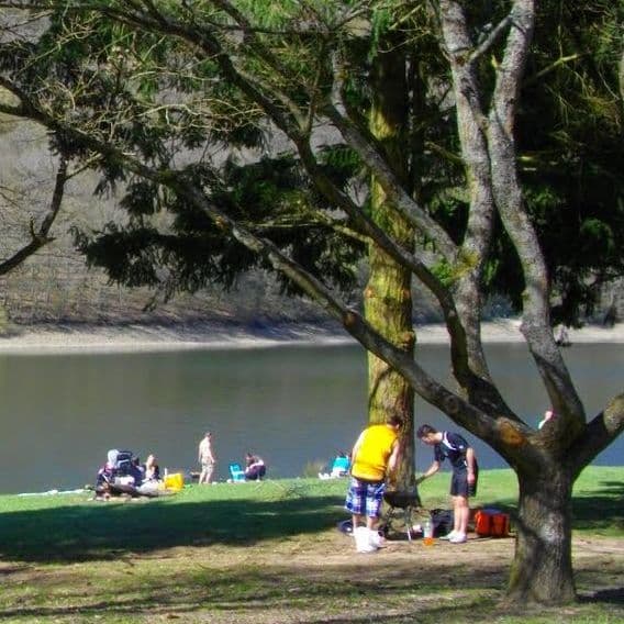 Parc et pique-nique au bord du Lac