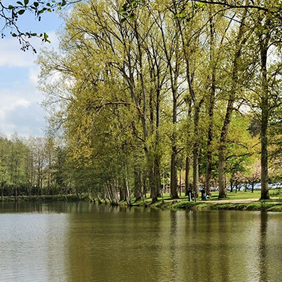 Parcours de santé et jogging autour du lac
