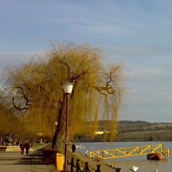 La Perle de la Moselle