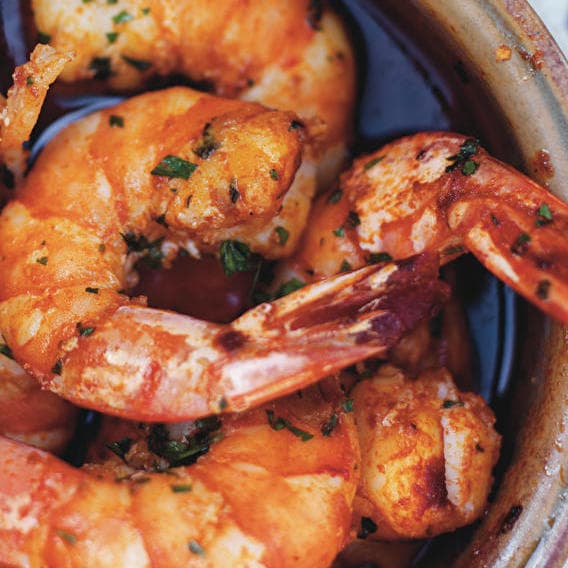 The King of Hot Scampis