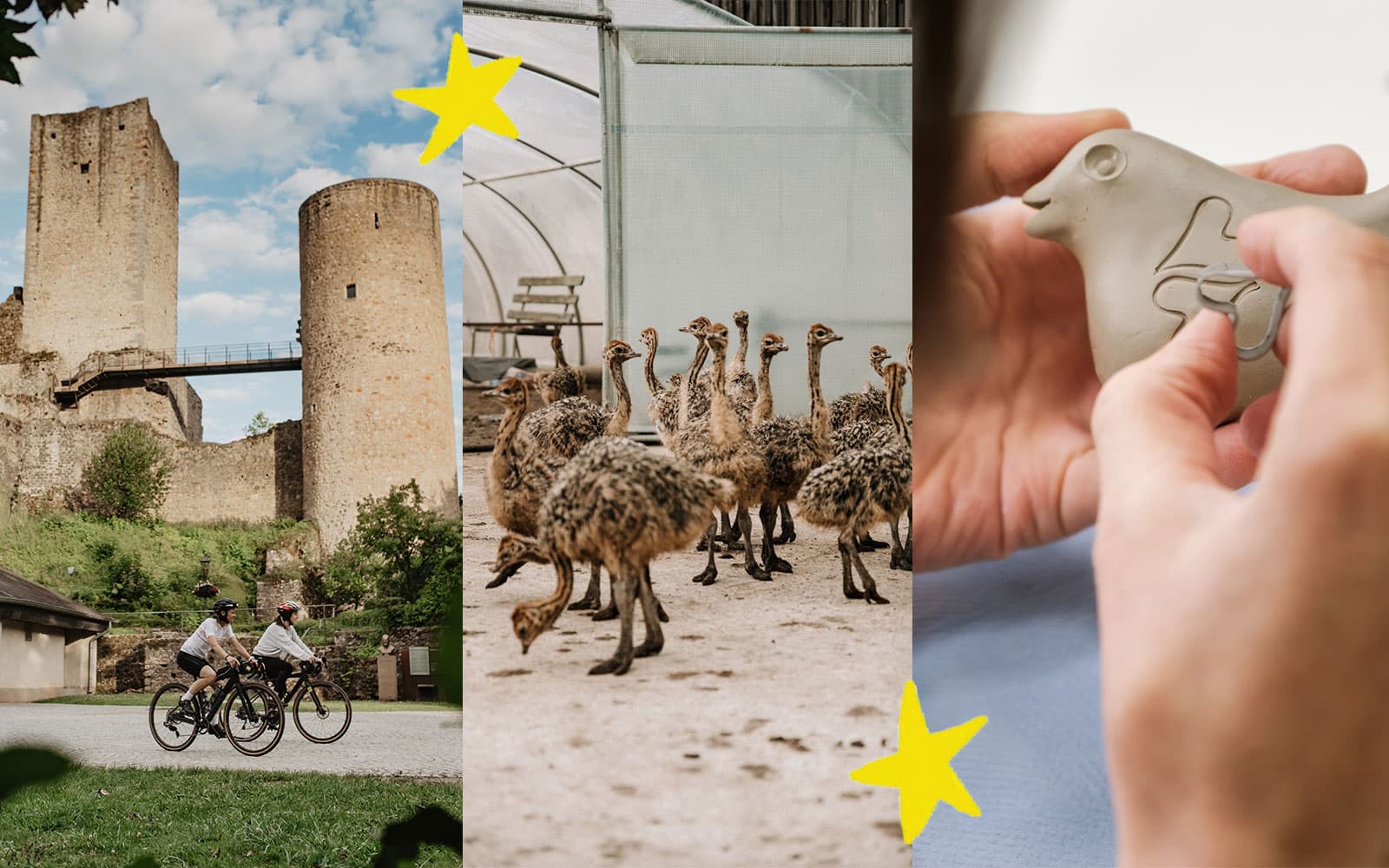 A summer to shape at your own pace, between nature and new experiences