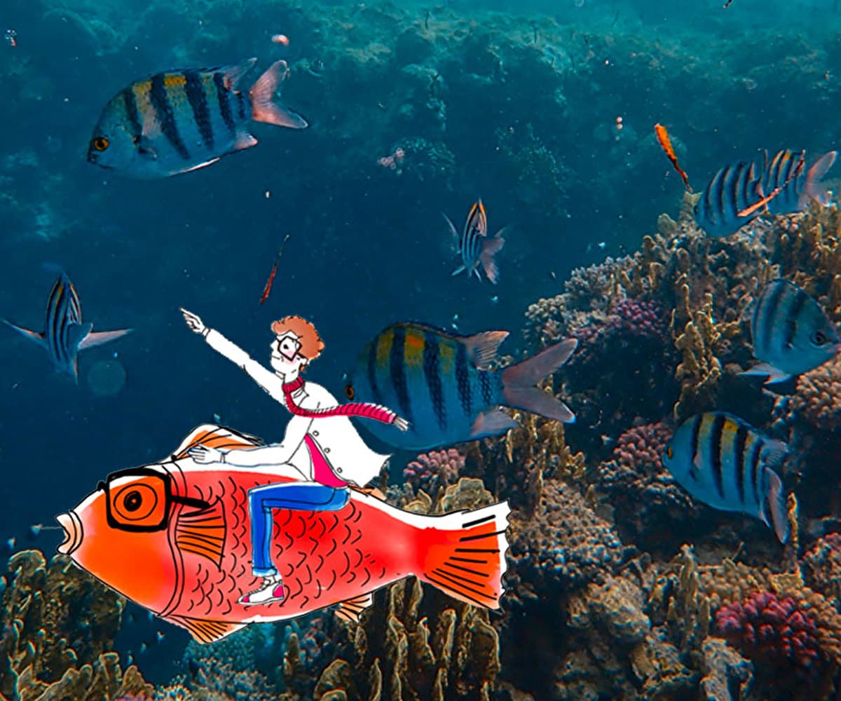 À la pêche aux blagues ! 🎣