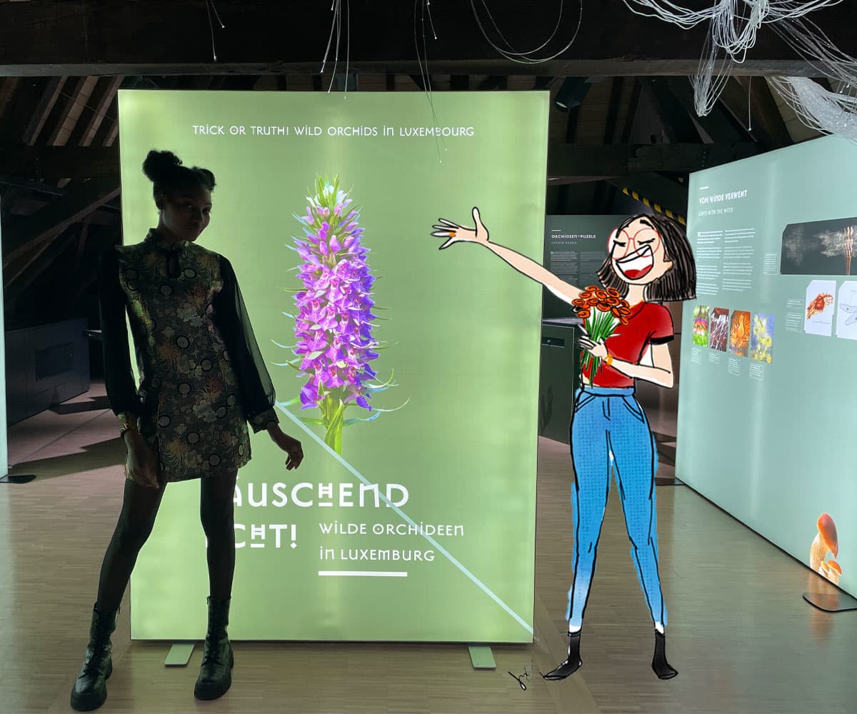 Le monde coloré des orchidées 💐