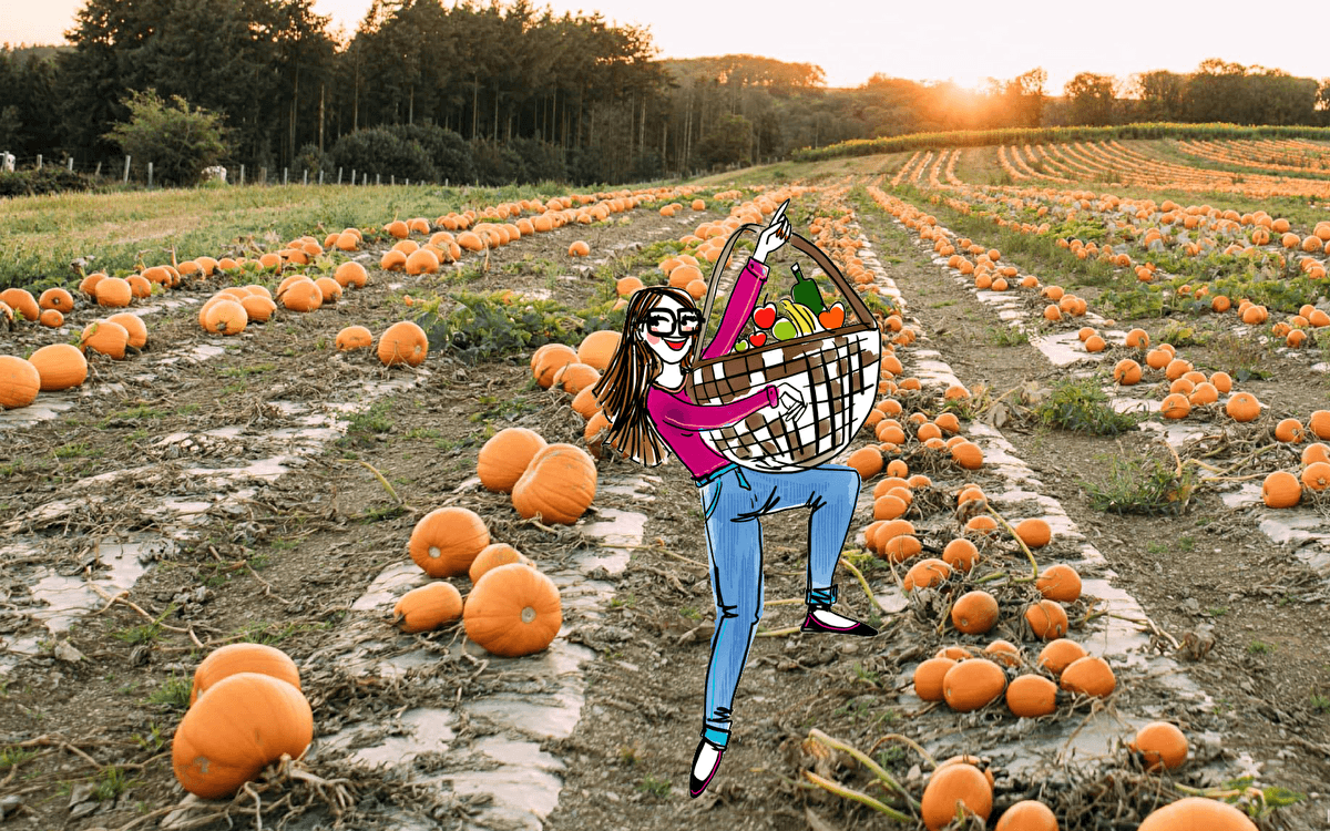 Champs de citrouilles et cueillette de pommes : nos spots secrets