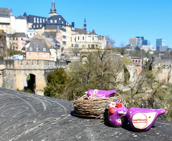 UN SAFARI AU COEUR DE LA VILLE