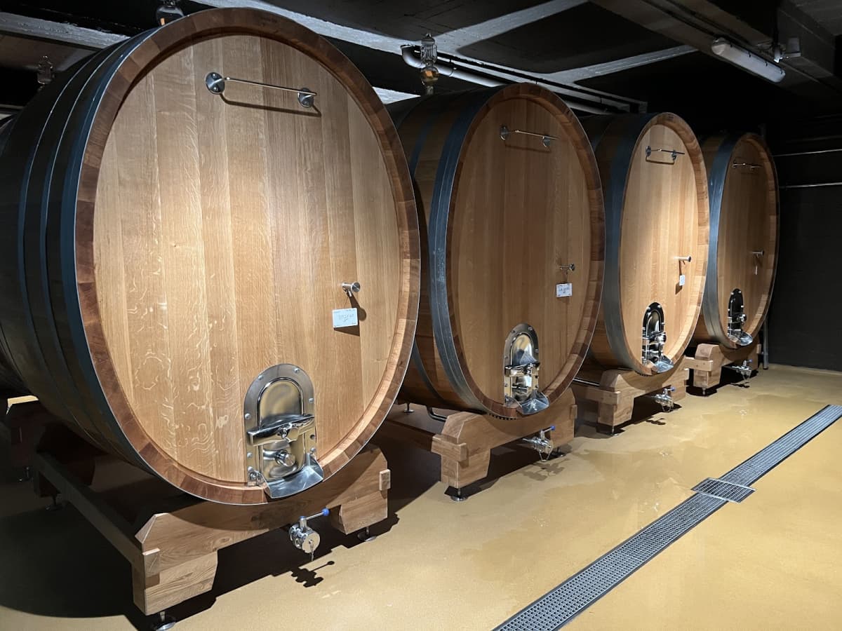 Une vinothèque de caractère - 4