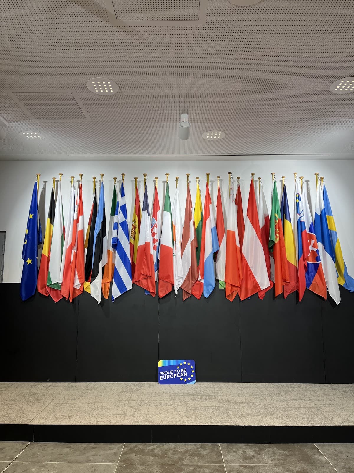 Entre dans l’arène européenne - 9