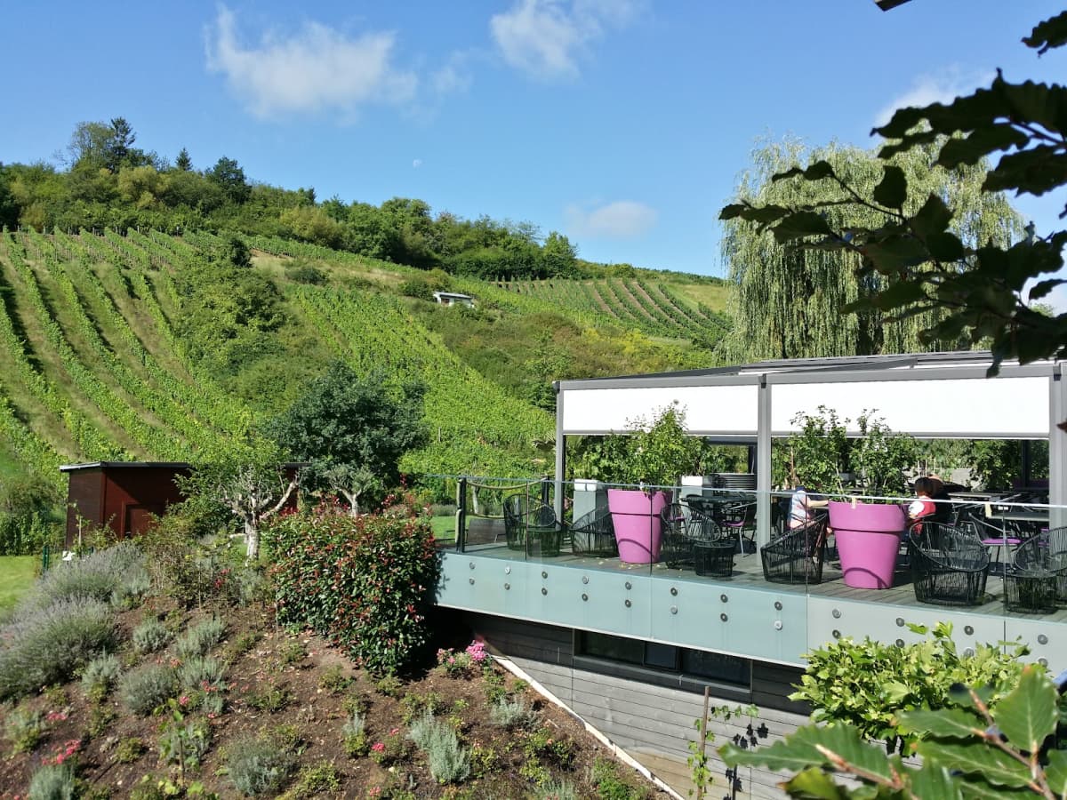 Hôtel-Restaurant de l'Écluse: view over the vineyards and the Moselle - 10