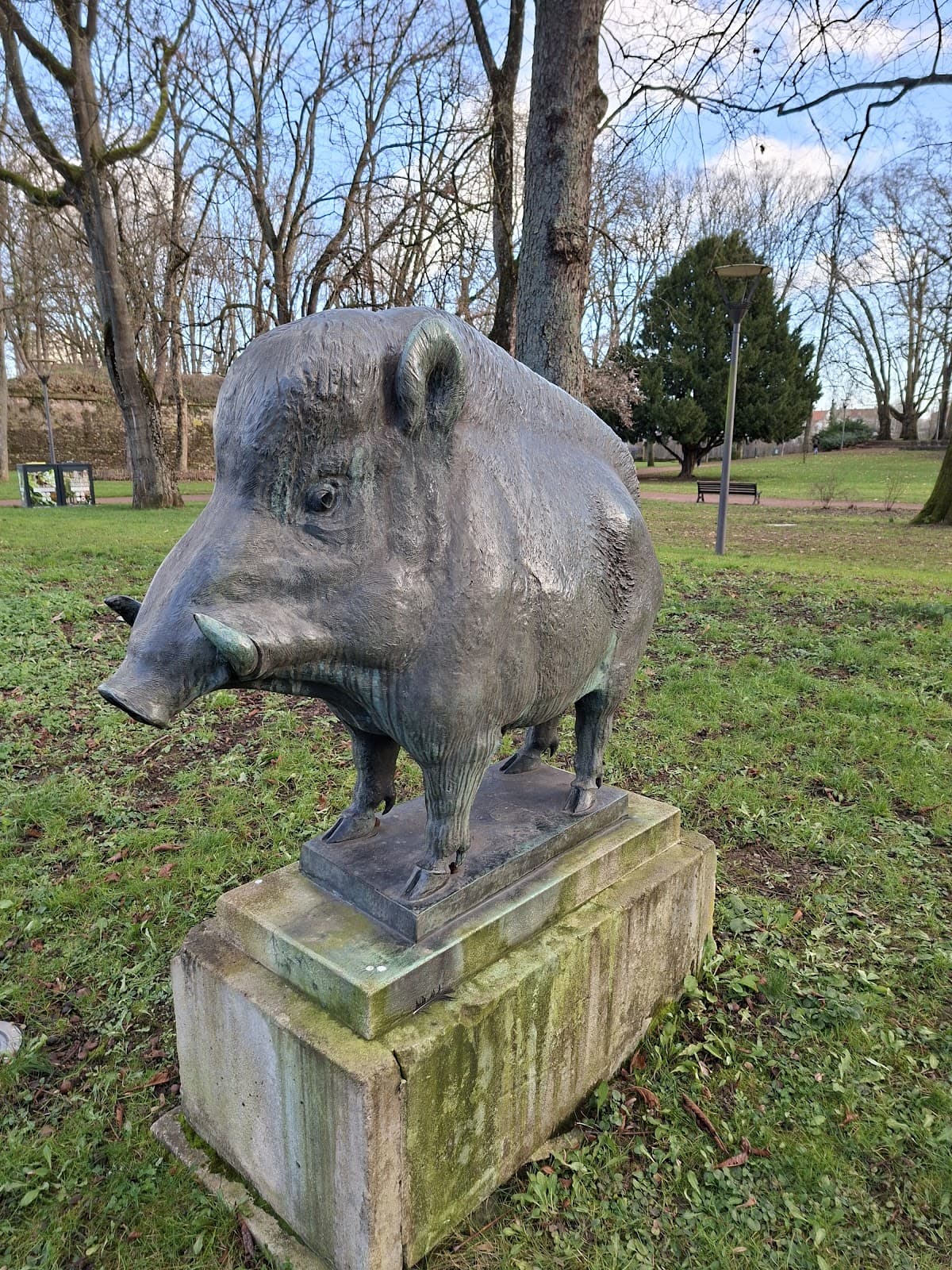 A walk for your little boars - 2