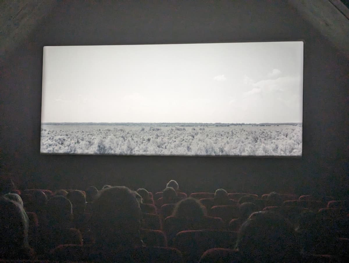 Grand Film Pour les Petits - 11