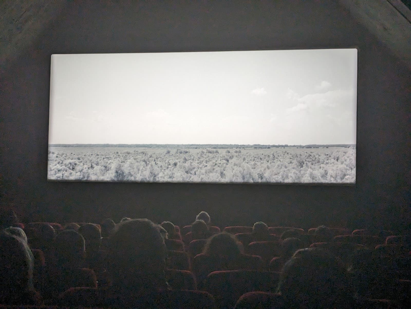 Grand Film Pour les Petits - 11