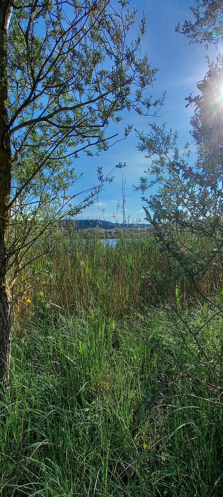 Come on, everyone, to the Remerschen Lake - 10