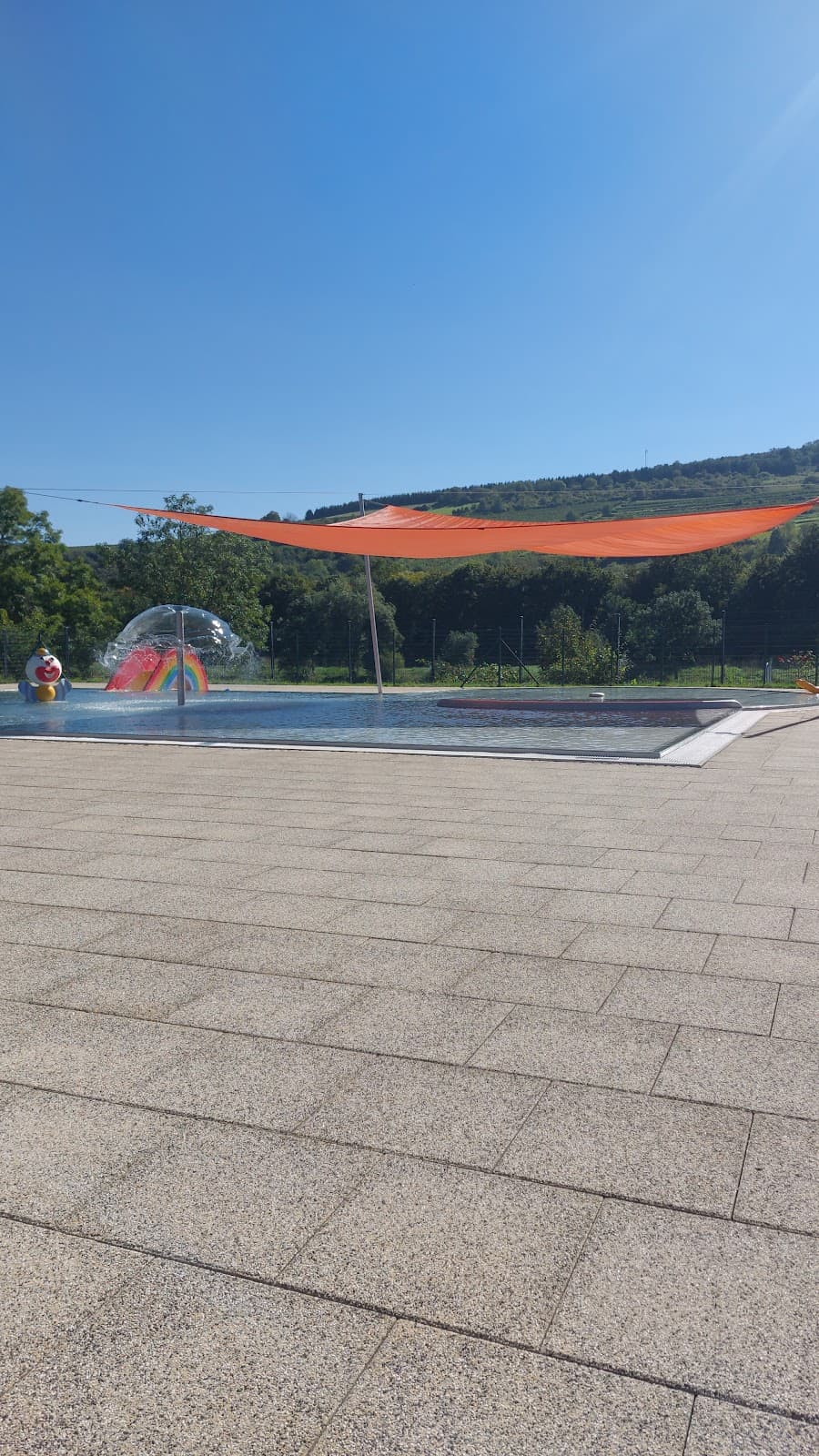 Swimming in front of the vineyards in Grevenmacher - 8