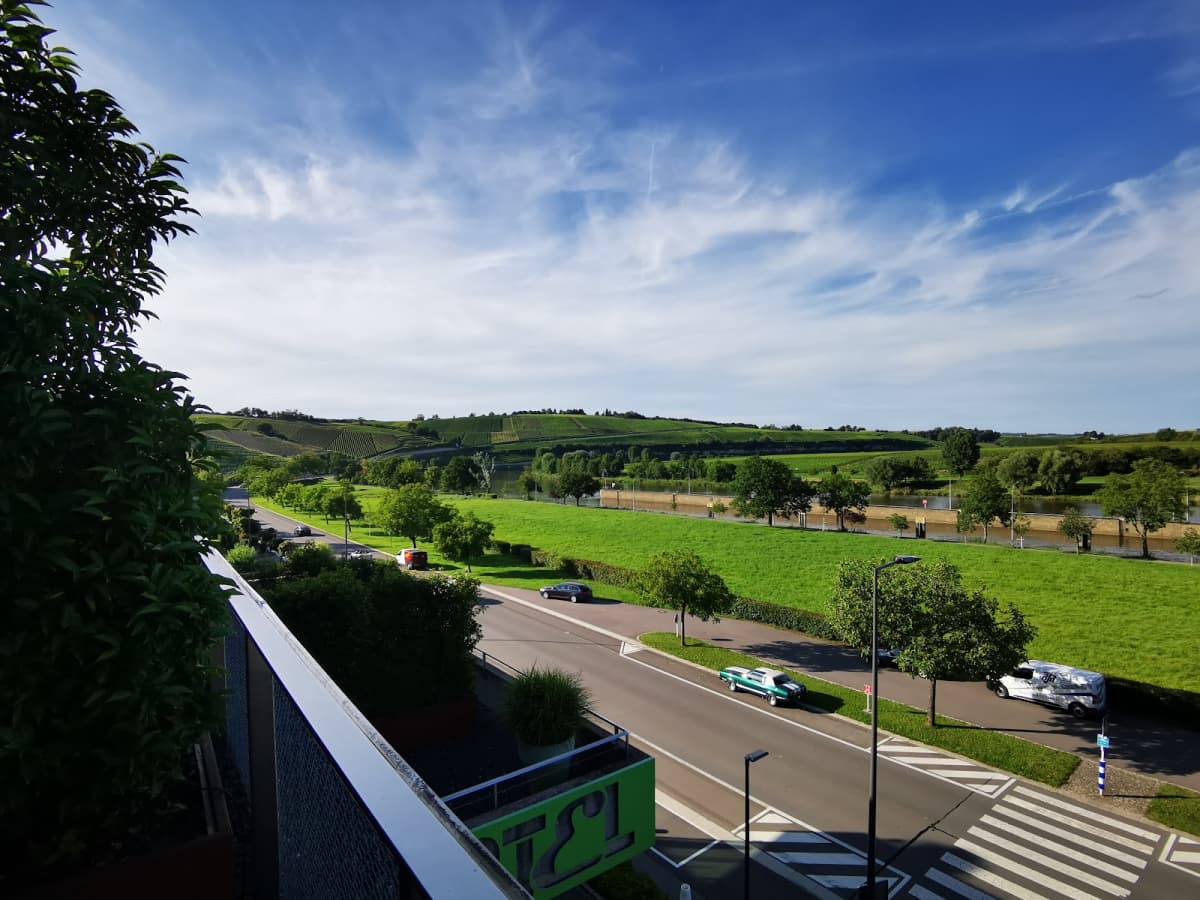 Hôtel-Restaurant de l'Écluse: view over the vineyards and the Moselle - 9