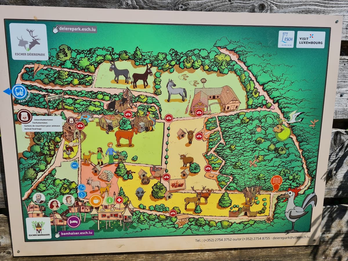 Children's paradise - 2