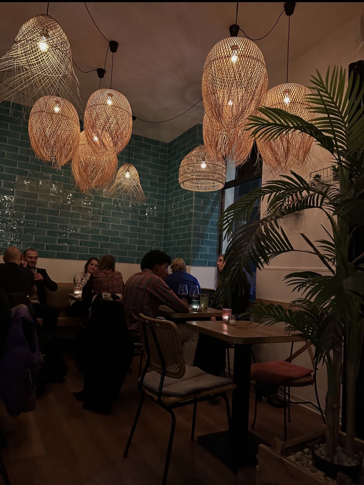 Tapas, Tacos, Tropico - 10