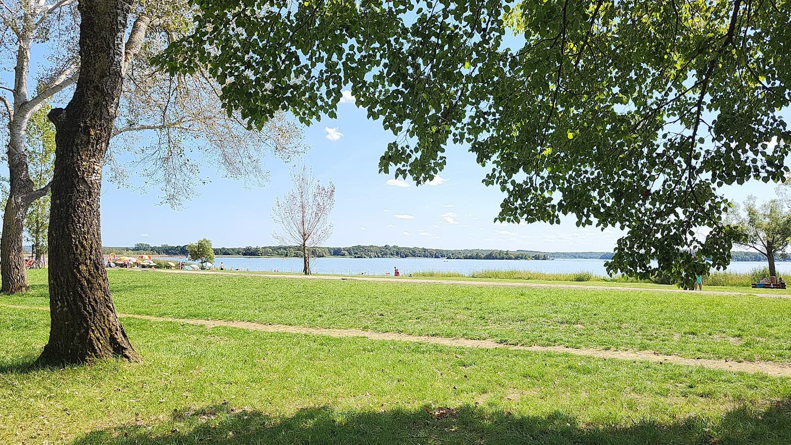 Baignade, pêche, paddle et vélo au Lac de la Madine - 8