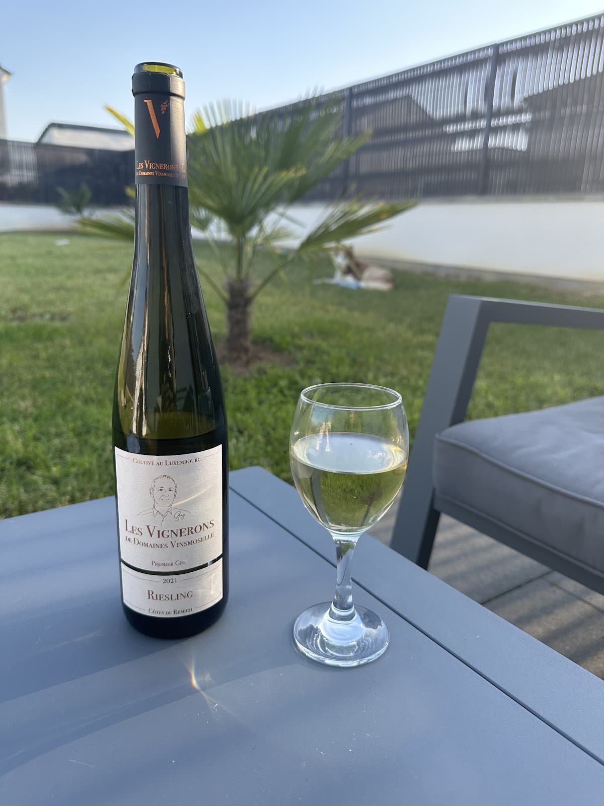 Domaines Vinsmoselle: visits, tastings and cellars in Luxembourg - 15