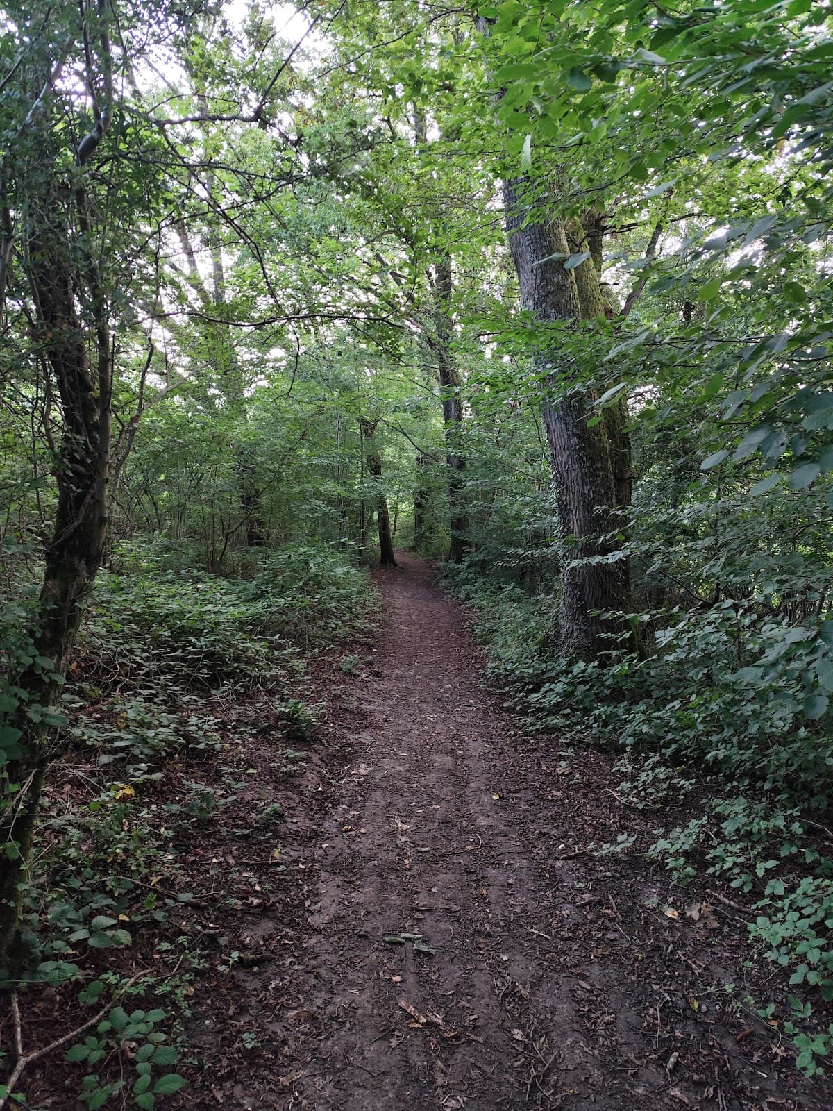 Get closer to nature - 9