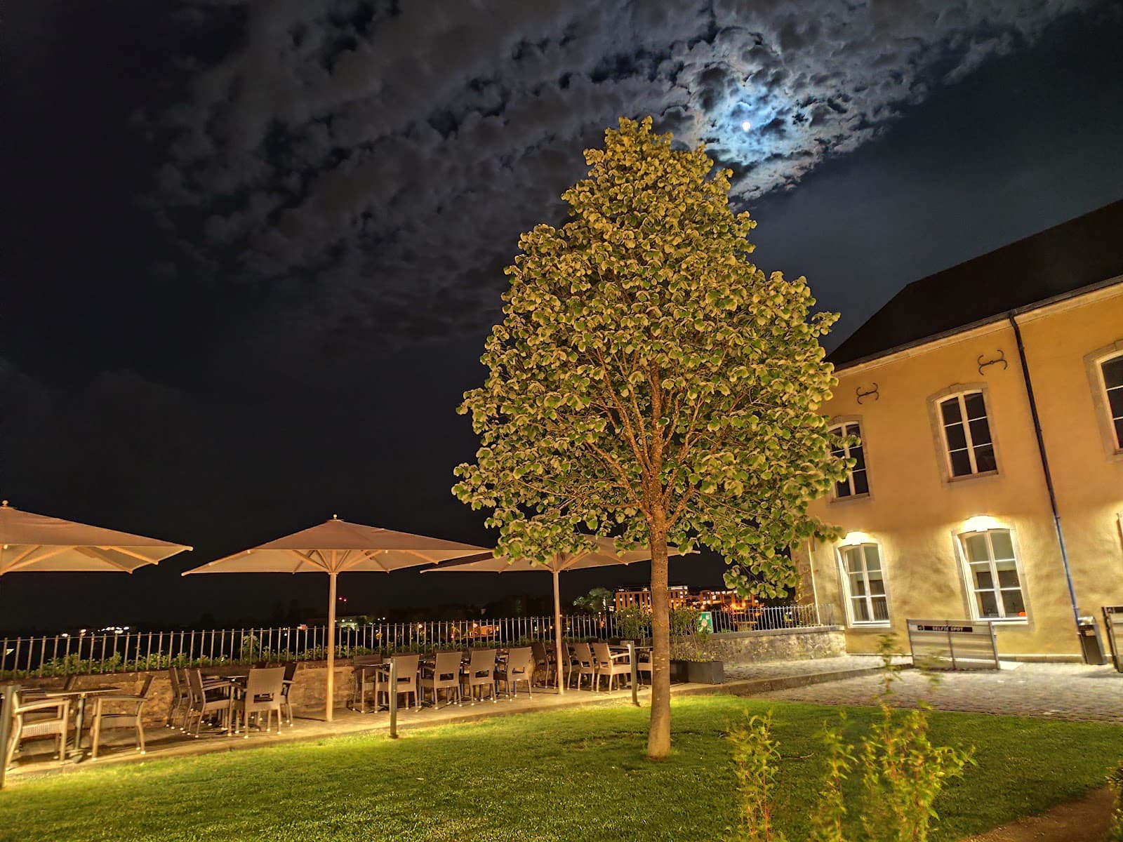 The Beech Tree By the Museum, the most gourmet brasserie in Luxembourg City - 15