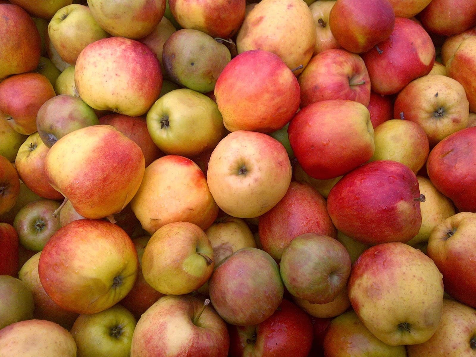 Rachecourt jus, jus de pomme artisanal en Belgique - 4
