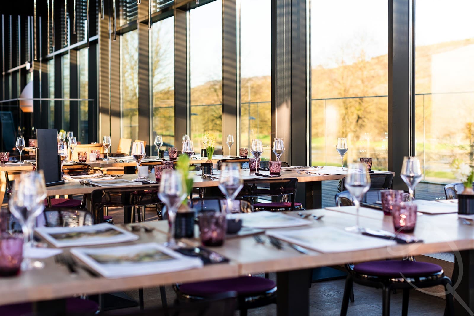 Bistro Quai: a terrace between vineyards and river - 9