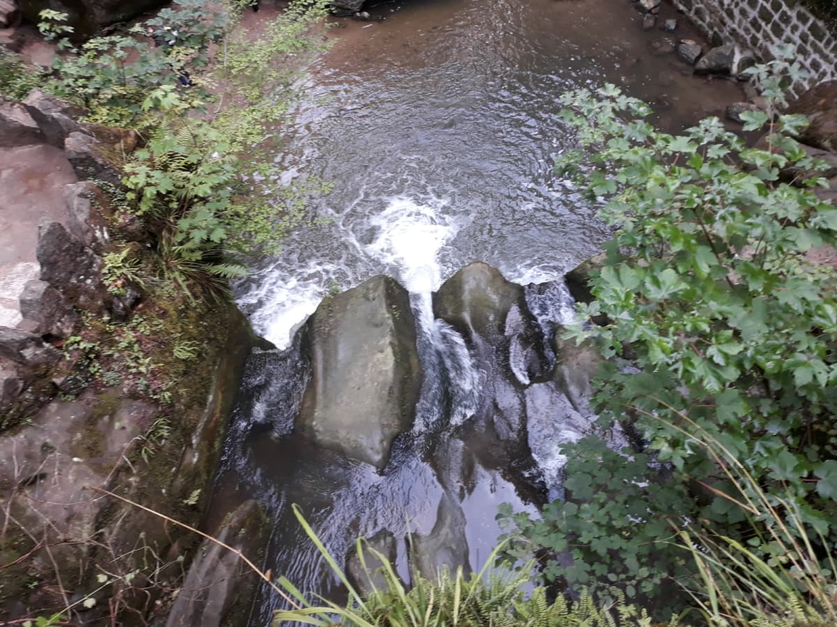 Comme au Costa Rica - 9