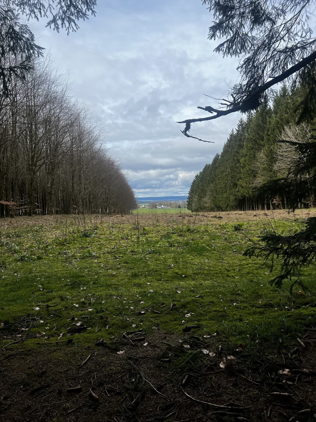 Immersion avec les héros du passé - 4