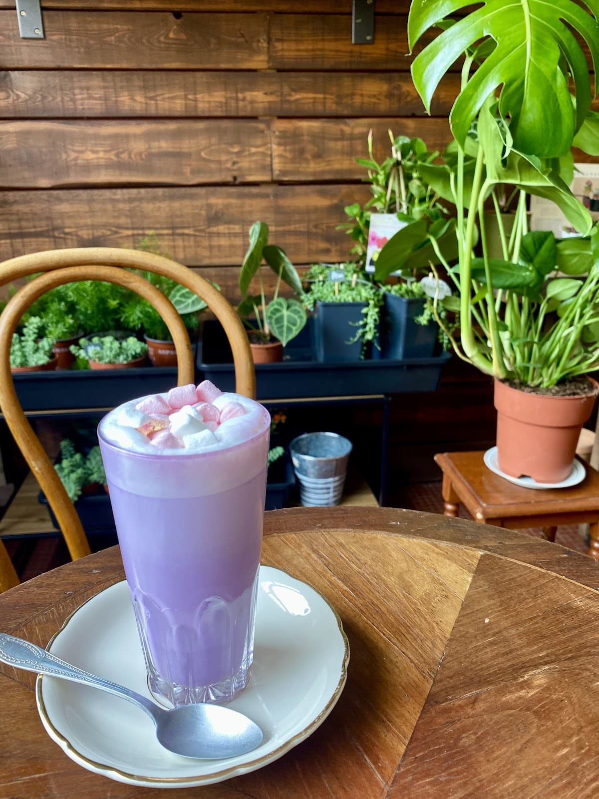 L'un de nos cafés préférés à Luxembourg : Holy Ghost Garden - 3