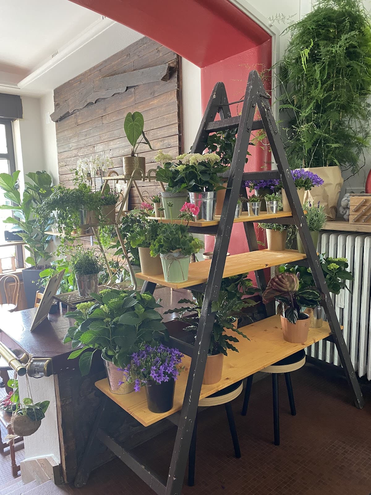 L'un de nos cafés préférés à Luxembourg : Holy Ghost Garden - 2