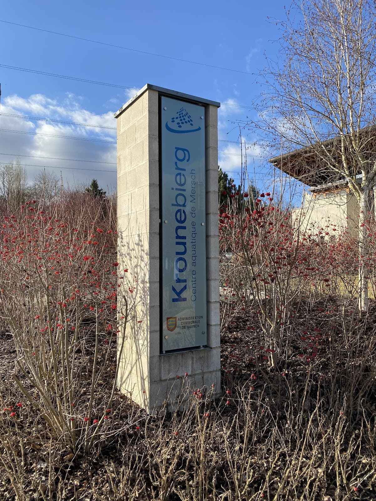 Relax Max : spa et saunas du Krounebierg à Mersch - 7
